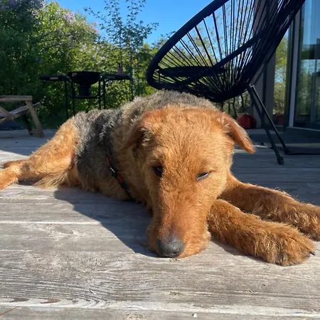 Skandynawskie Nad Pilicą, Biała Góra, Mazowieckie Krzemien