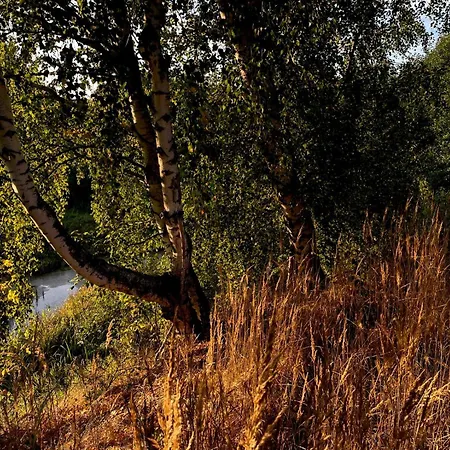 Casa de Férias Skandynawskie Nad Pilicą, Biała Góra, Mazowieckie Krzemien