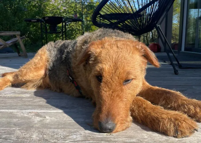 Skandynawskie Nad Pilicą, Biała Góra, Mazowieckie Krzemien