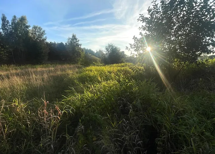 Dom wakacyjny Skandynawskie Nad Pilicą, Biała Góra, Mazowieckie *