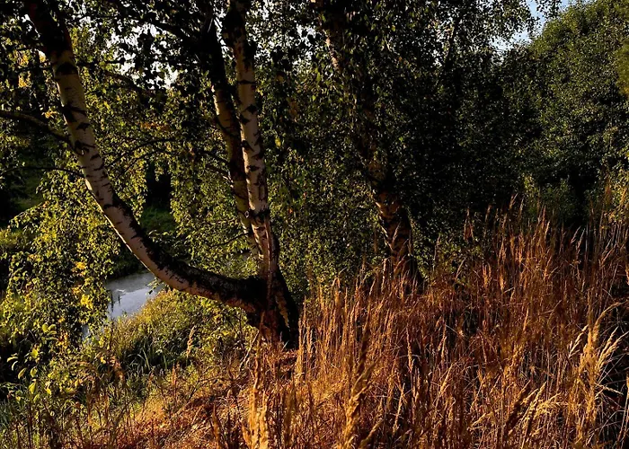 Dom wakacyjny Skandynawskie Nad Pilicą, Biała Góra, Mazowieckie Krzemien