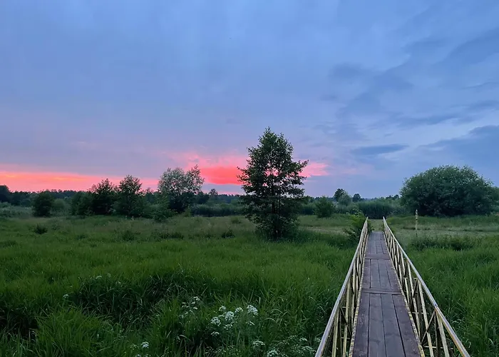 Dom wakacyjny Skandynawskie Nad Pilicą, Biała Góra, Mazowieckie